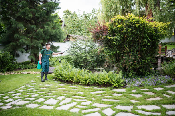 Best Best Pest Control Companies  in Spout Springs, NC