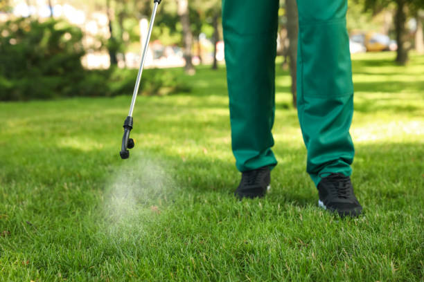 Best Pest Removal Services  in Spout Springs, NC