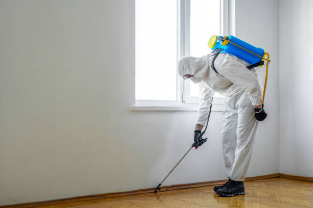 Best Cockroach Control Services  in Spout Springs, NC