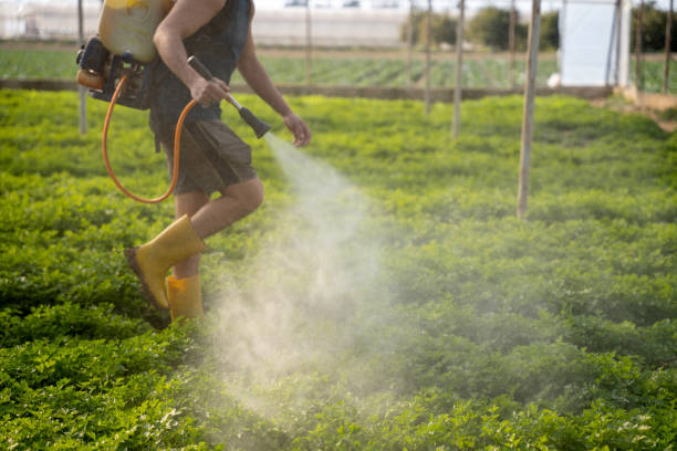 Best Best Pest Control Companies  in Spout Springs, NC