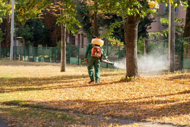 Best Best Pest Control Companies  in Spout Springs, NC