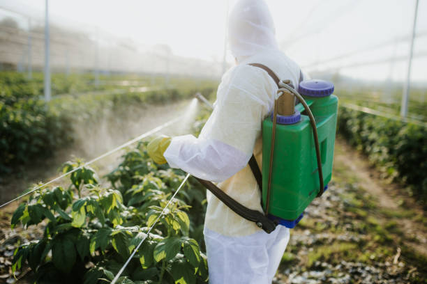 Best Flea Control Services  in Spout Springs, NC